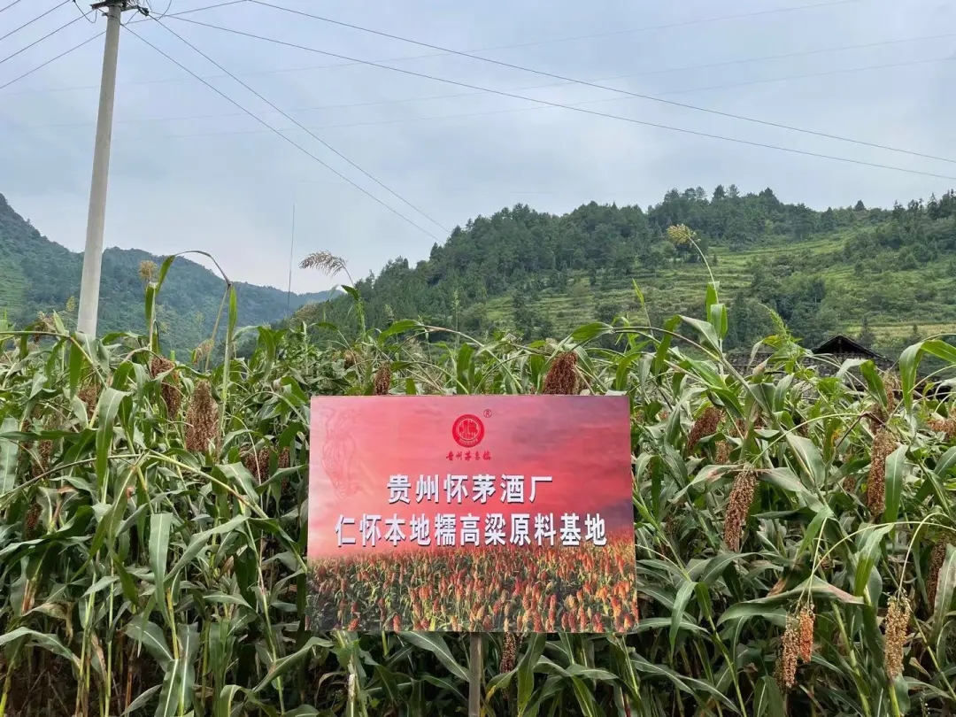 1635234263745200.jpg 23.webp.jpg